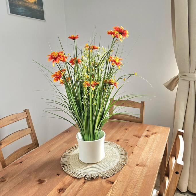 Cozy Sorada 2 Apartment Bragadiru 外观 照片